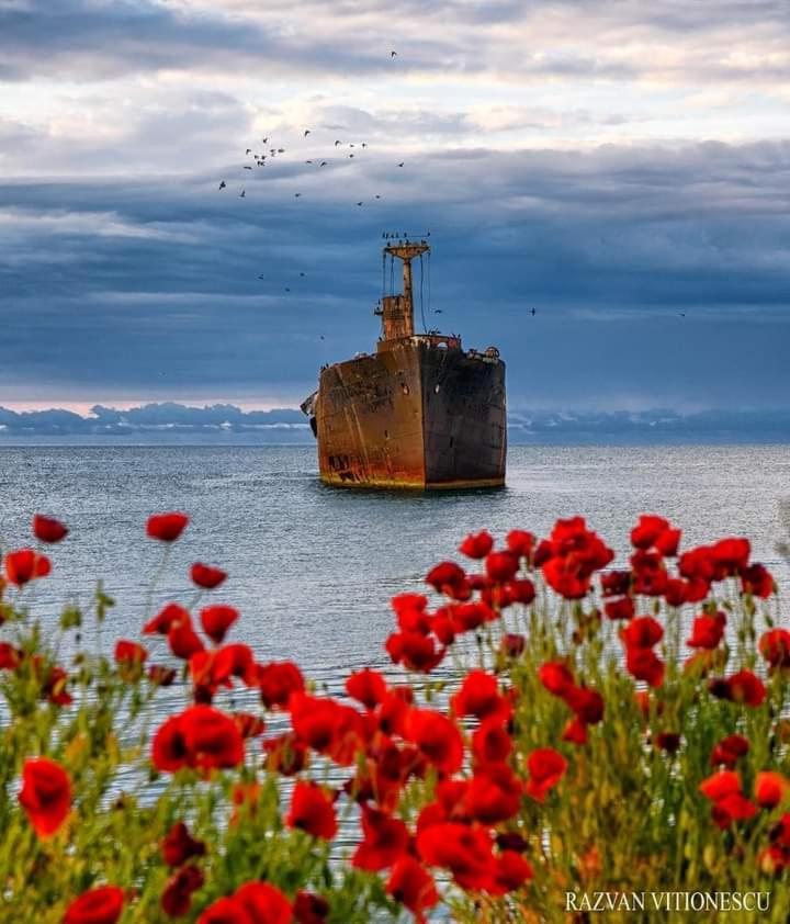 Casa Babica Guesthouse Costinești Dış mekan fotoğraf
